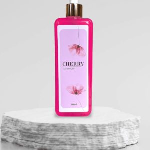 Anitbac Hand Soap 25L